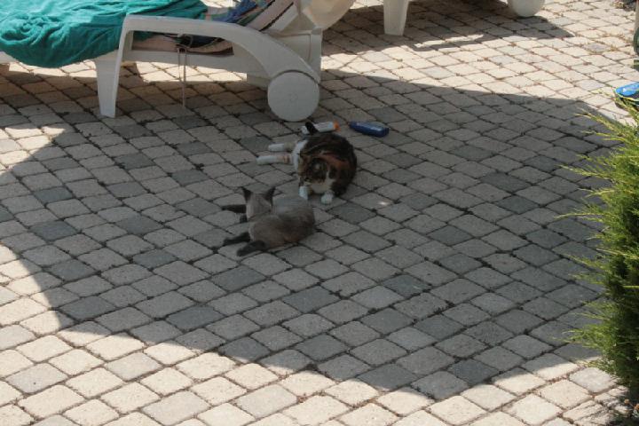 2012-08 007.JPG